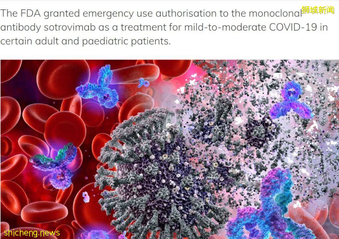 新加坡不再公布到访地！已买首款新冠药物，可治变异病毒