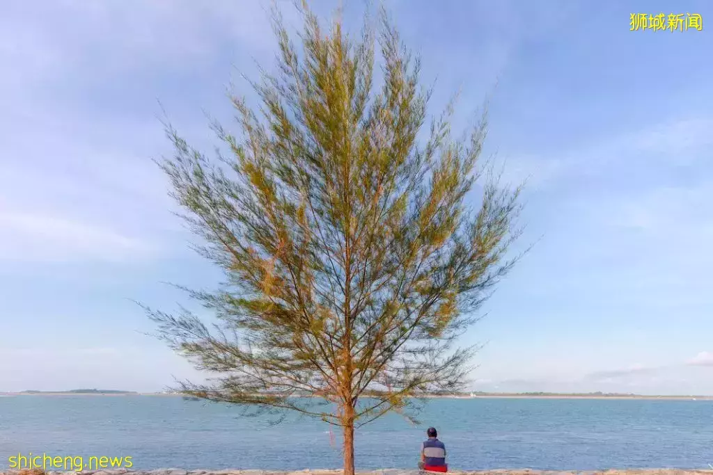 避开人潮！东部宝藏新去处Changi Bay Point！超美海景+海风骑行路线 