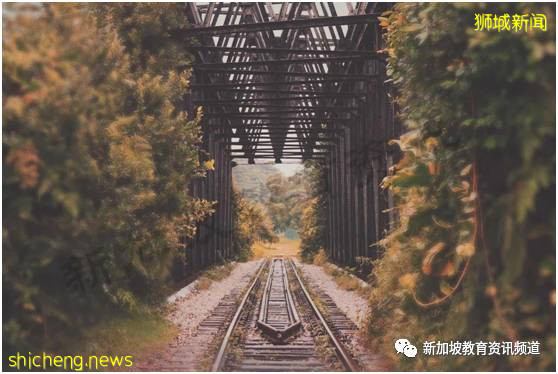 【獅城萬象】坡島十大打卡勝地