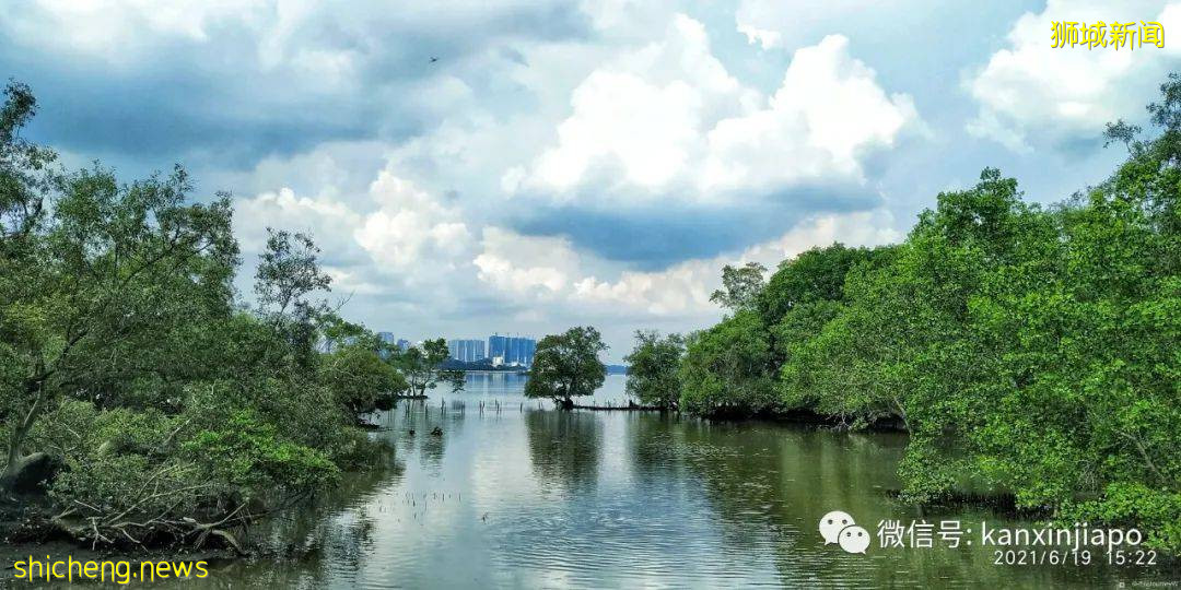 双溪布洛湿地公园，新加坡西部周末休闲的好去处