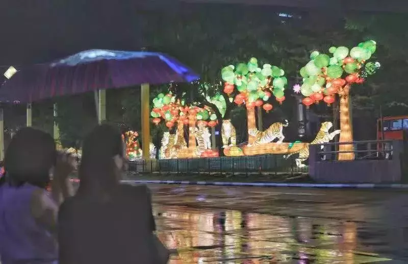 過年必打卡新加坡牛車水，300多個虎年燈飾亮起來啦！【多圖】