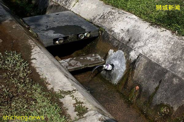 沟渠涌出泉水  居民装回家喝 