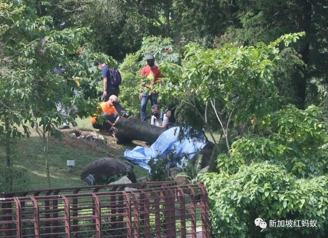 意外防不勝防? 　在獅城各種潛在危險面前，靠人不如靠自己