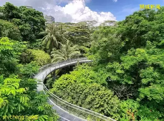 玩在獅城 春日踏青好去處推薦——坡島這4個風景絕佳的徒步勝地你一定不能錯過