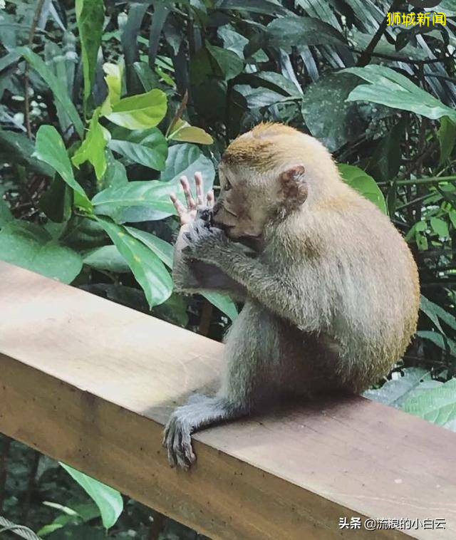 新加坡，如果你有计划多一天，这个地方，一定要去