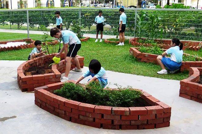 小学种花？中学种菜？新加坡的学生在学校都在干什么