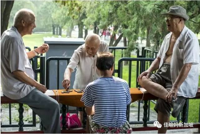 70歲還要去食閣端盤子？深扒新移民在新加坡如何養老