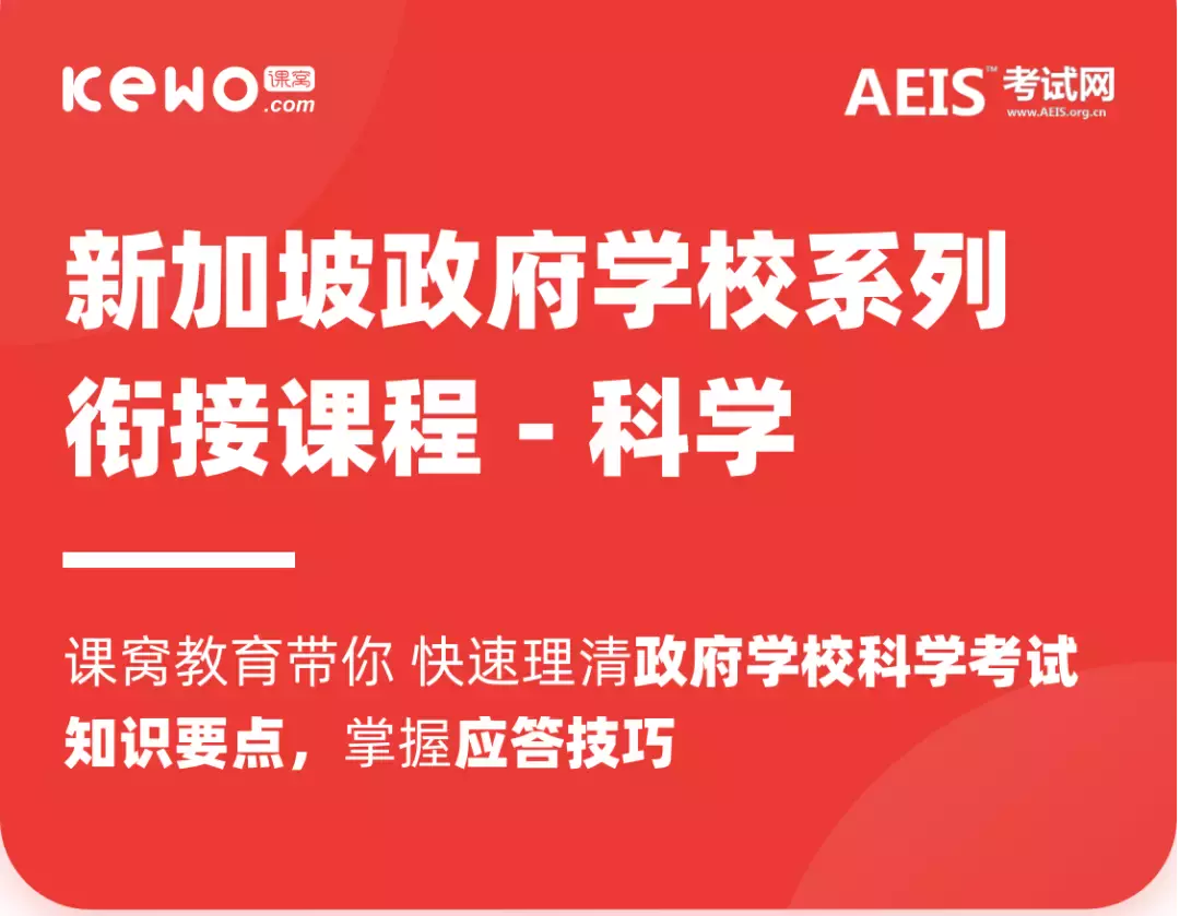 顺利进入新加坡政府学校的你，下一步的学习规划已安排好啦