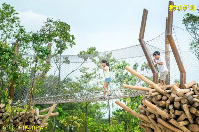 最適合帶孩子去的—新加坡裕廊湖畔花園