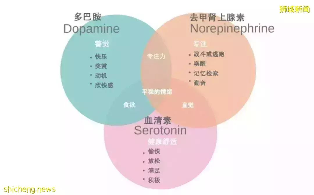 如何有效控制留学生在新加坡的内外压力