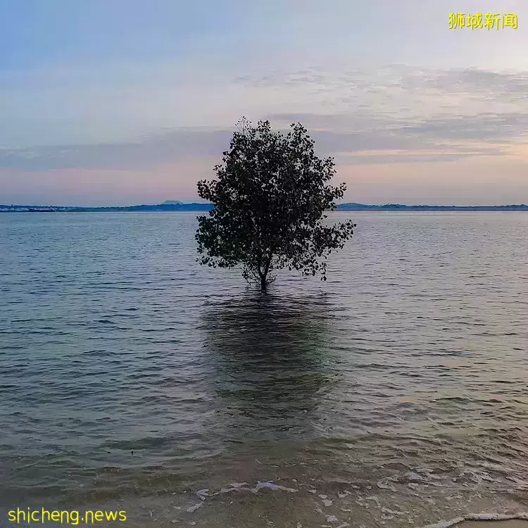 避开人潮！东部宝藏新去处Changi Bay Point！超美海景+海风骑行路线 