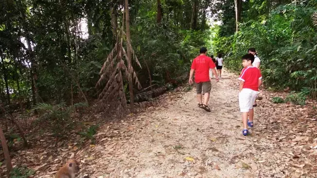 新加坡人深夜排隊，翻新一年多的網紅景點又開了