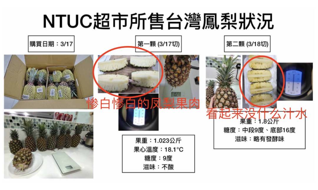 新加坡进口的台湾凤梨被吐槽！“这质量，送人都丢脸~”