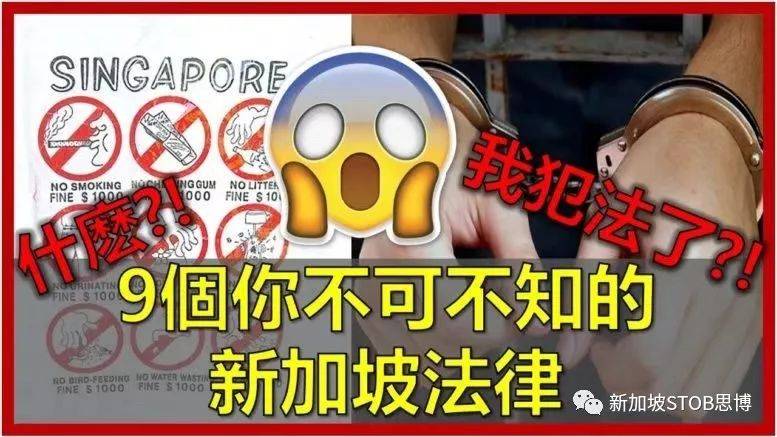 用法律来提高素质？在新加坡你可能会疏忽的事情