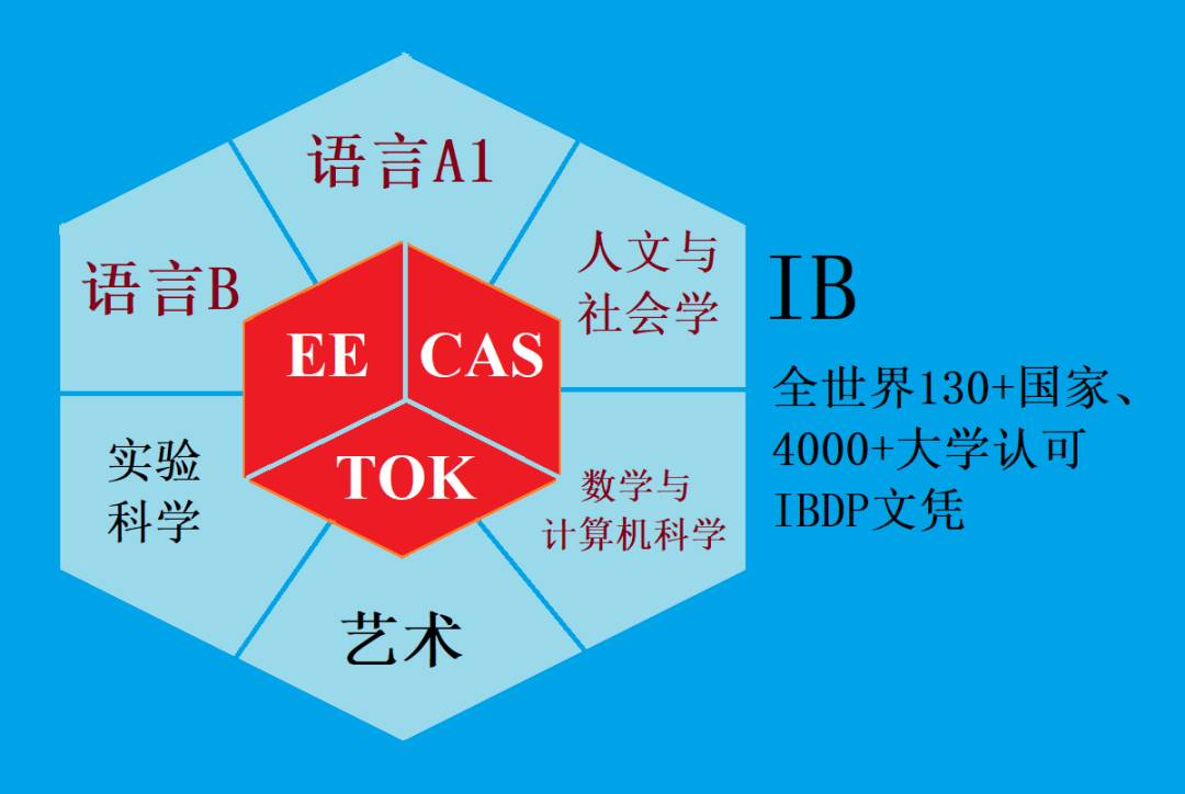 IB国际文凭各阶段课程详解