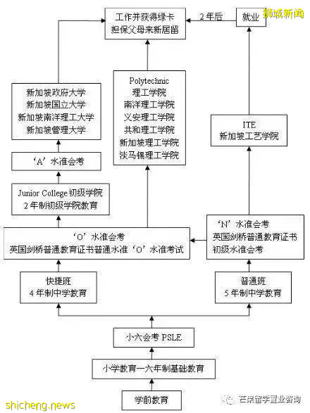 由幼兒園到大學新加坡全階段教育介紹