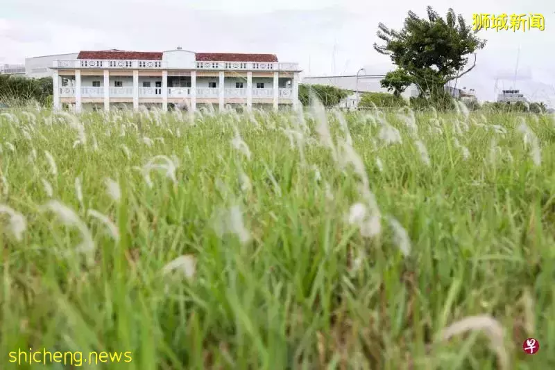 新加坡实里达机场附近有座从未对外开放的神秘老建筑，今年你终于可进去参观