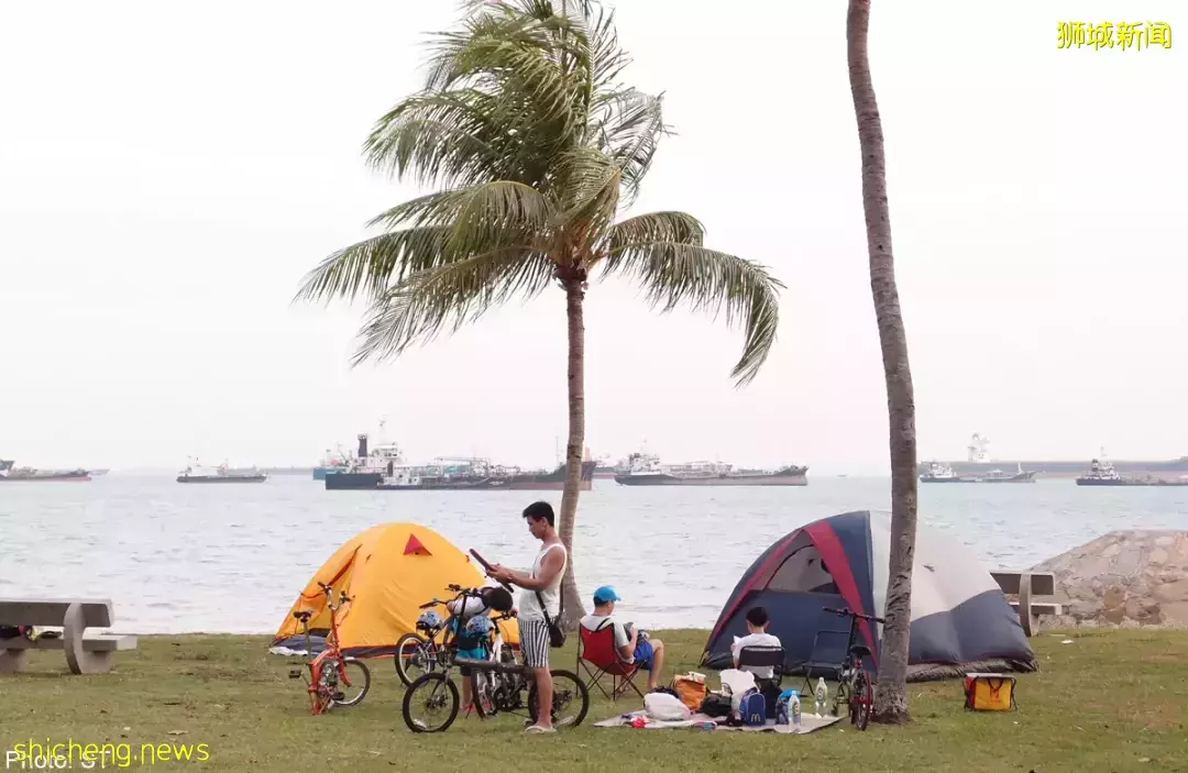 新加坡這些公園太美了！與大自然擁抱，和海浪、飛機、星空入睡