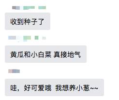 晒单！一大波新加坡网友已经收到政府发的免费种子