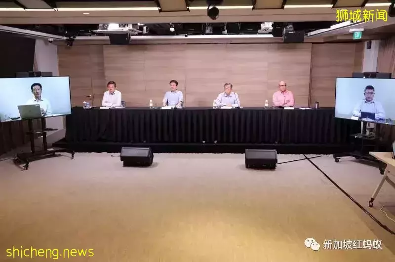 新加坡特色！野鸡有“鸡权”，遭居民投诉鸡啼扰民必须成立工作小组解决问题