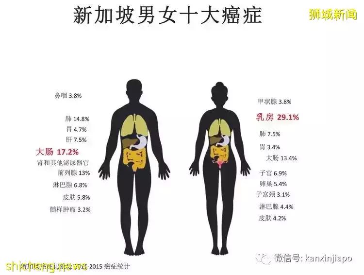 新加坡平均每天38人被诊断患癌，癌症是健康“头号杀手”