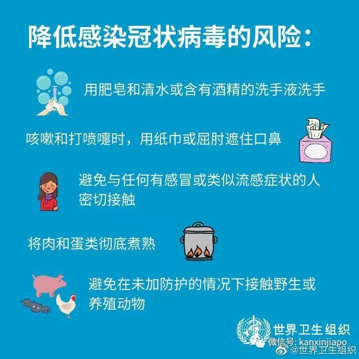 新加坡推出超严抗病毒措施，下飞机可能直接被隔离！