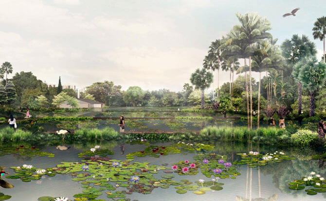 Aquatic Garden nparks.jpg