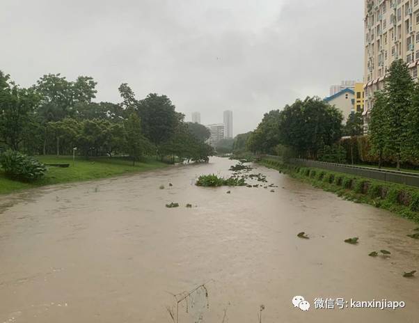 晴天大草原，暴雨成黄河！一场豪雨秒懂新加坡排水系统