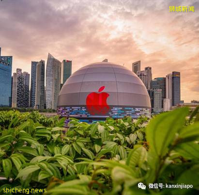 多图，超美！全球首家水上苹果店成新拍照热门地