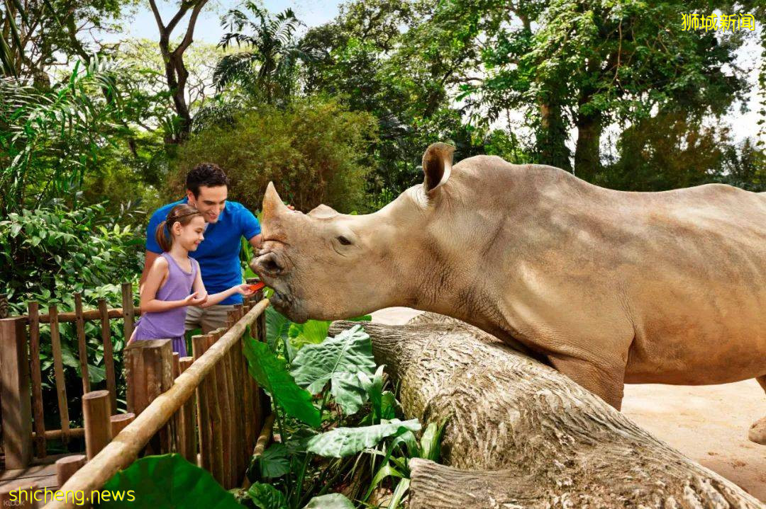 科小文狮城游记之—新加坡动物园