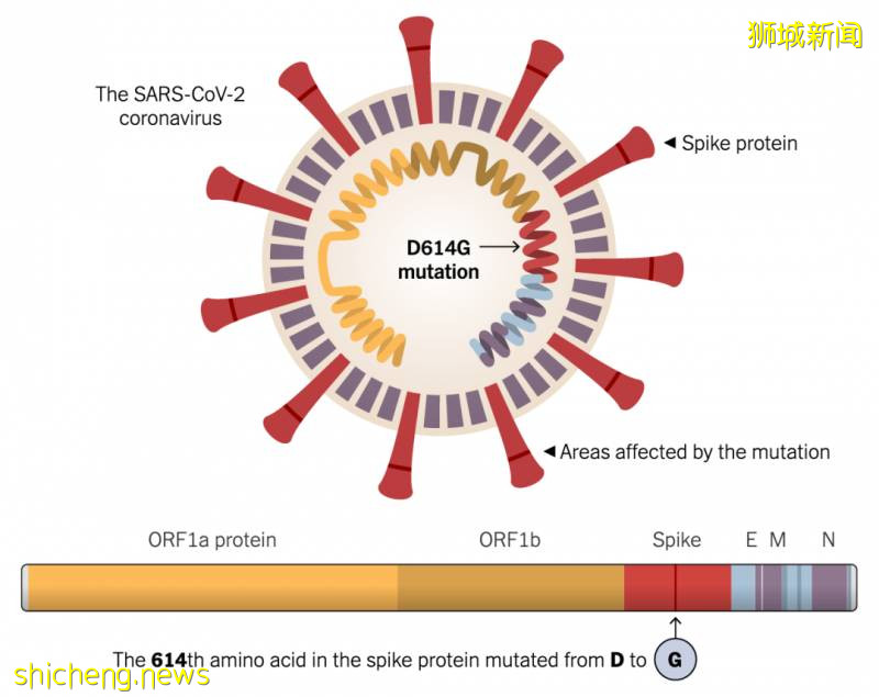 世界多国发现新冠变异陷恐慌！新加坡发表一份研究成果，引发全球瞩目