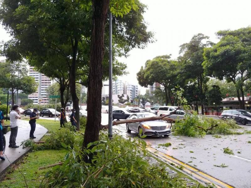 犹如世界末日！实拍新加坡被海啸云“吞没”！暴雨、发大水、树倒