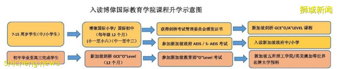 低齡留學時代來臨，新加坡中小學申請全攻略