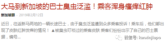 新加坡国民电影院座位藏“热带吸血虫”，多人身上起神秘红疹