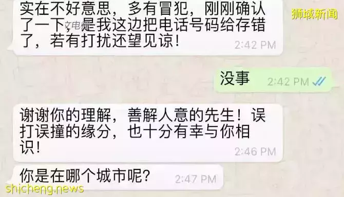 老母亲的新加坡奇遇：被警察通缉、被男神追求，还有人邀我投资太阳能汽车