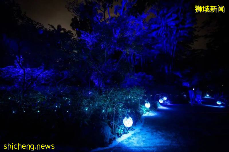 新加坡動物園沉浸式多媒體夜行體驗“RAINFOREST LUMINA”｜CAAPA周末分享!