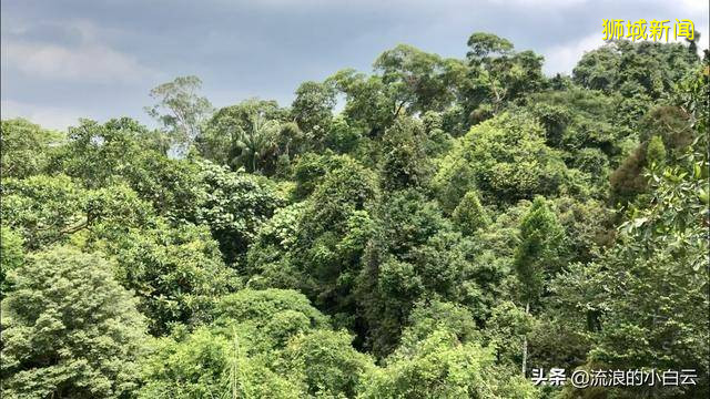 新加坡，如果你有计划多一天，这个地方，一定要去