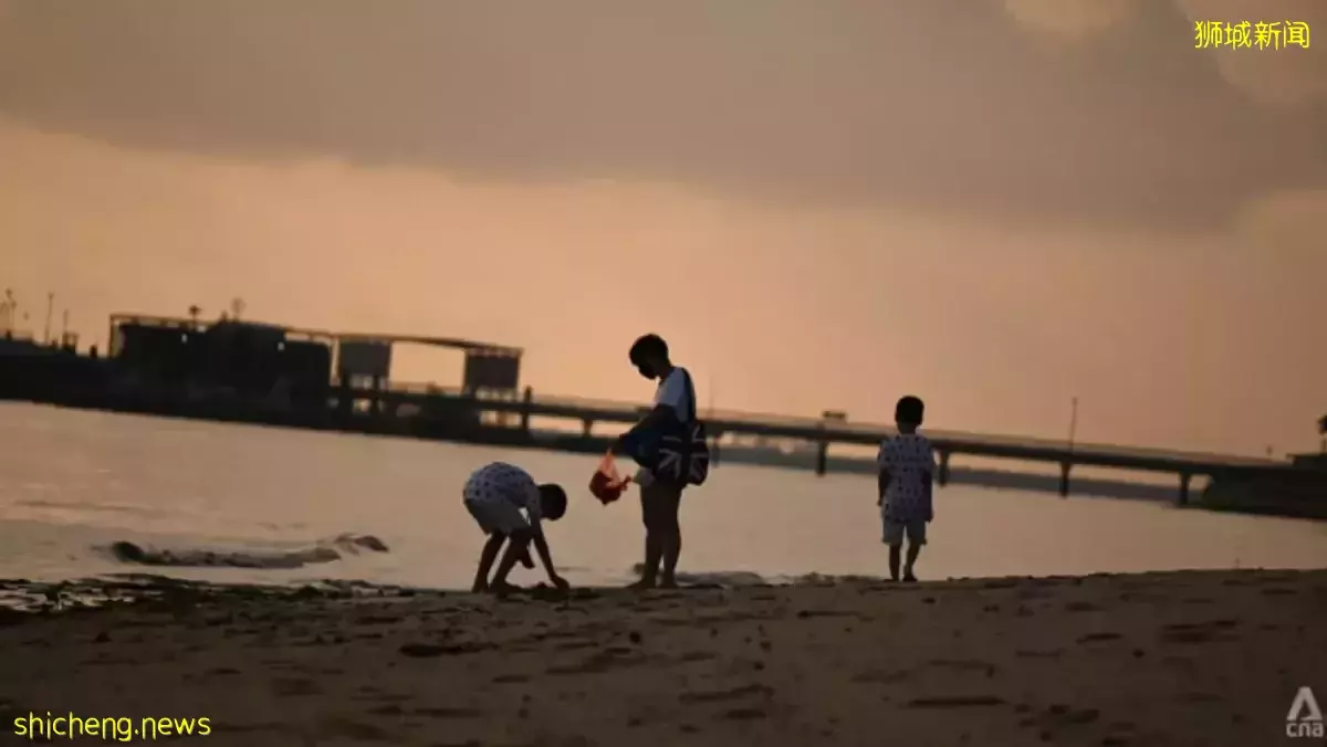 學校假期將至 公衆受促在探索海岸潮間帶時保護海洋生物