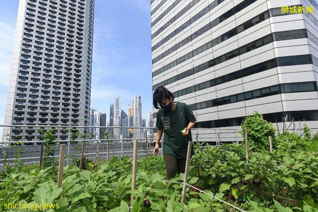 新加坡最热&最湿地区揭晓：住在这附近最容易得湿疹