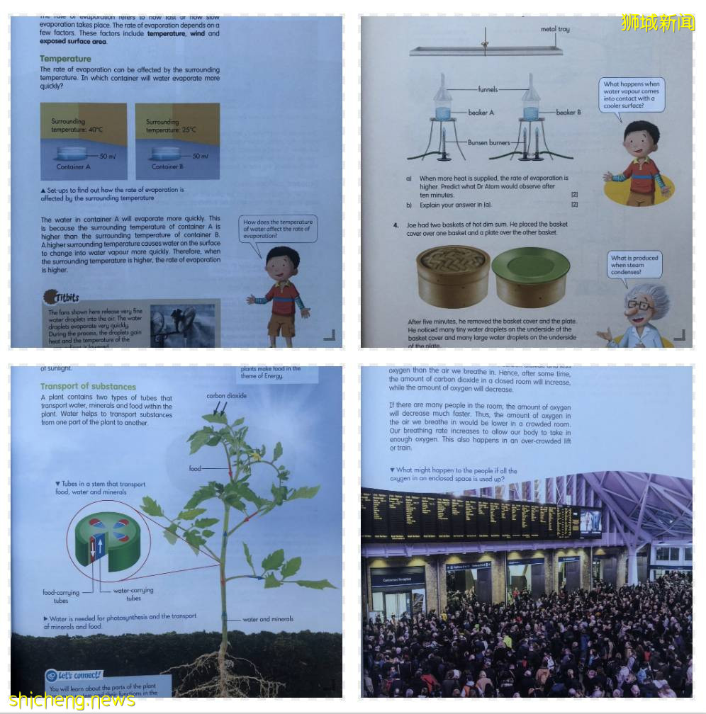 新加坡留學：一起來了解新加坡孩子如何學習科學課