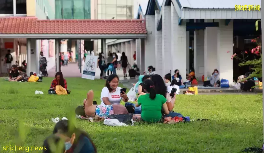 草地上聚会、聊天，新加坡地铁站外成女佣们的野餐圣地