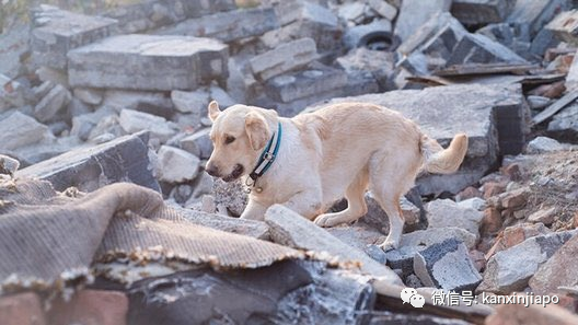 爱琴海水贯穿街道！希腊7.0大地震引发海啸、高楼坍塌