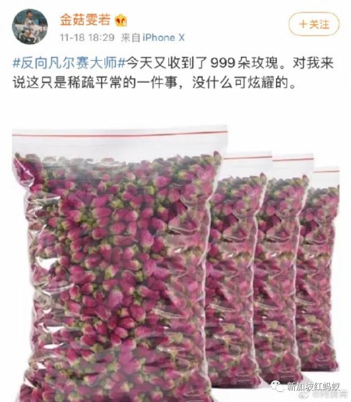 近期在中國被刷屏的凡爾賽文學是什麽？　如果新加坡人也深詣凡學