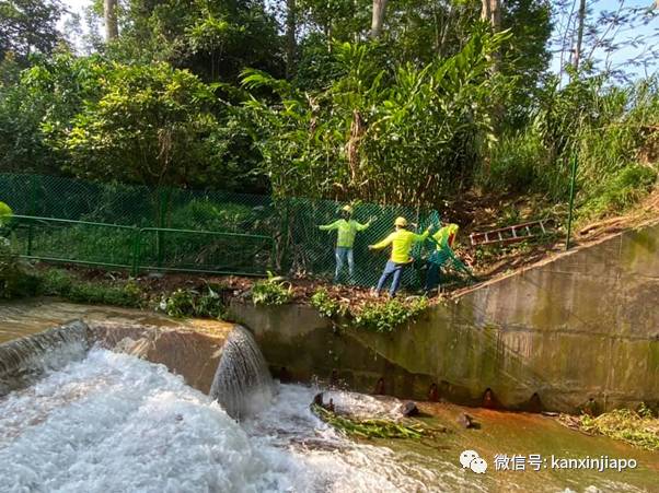 新加坡网红“瀑布”装上围栏，自然公园不再“自然”