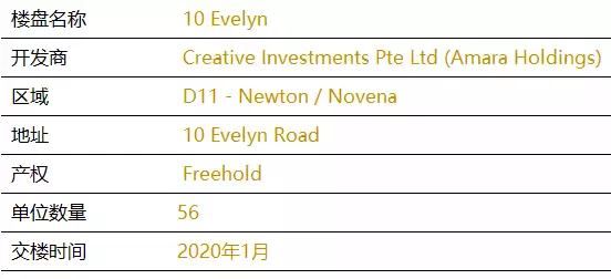 新加坡【D11区】中央核心CBD纽顿永久地契新公寓 10 evelyn【顶级名校学区房】