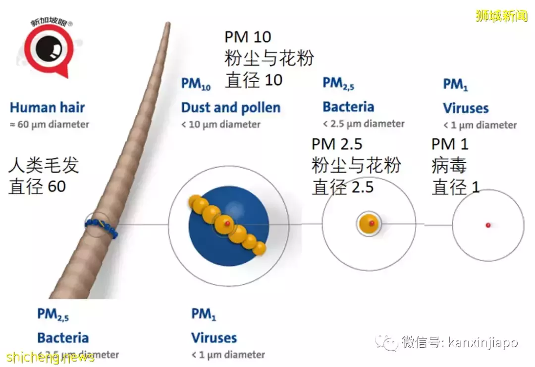 新冠疫情没有结束，更不会有胜利；眼前还有三个世纪大挑战