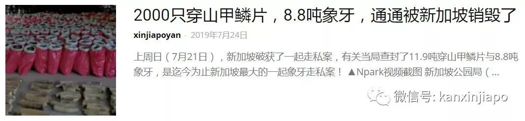 在NTU邂逅濒危动物过马路，10年了它还没毕业......