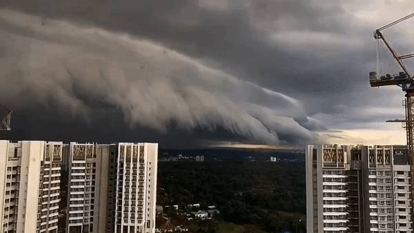 犹如世界末日！实拍新加坡被海啸云“吞没”！暴雨、发大水、树倒