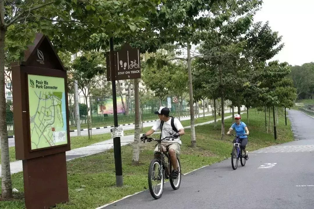 新加坡神奇路线图，轻松穿梭各个公园，再也不怕迷路啦