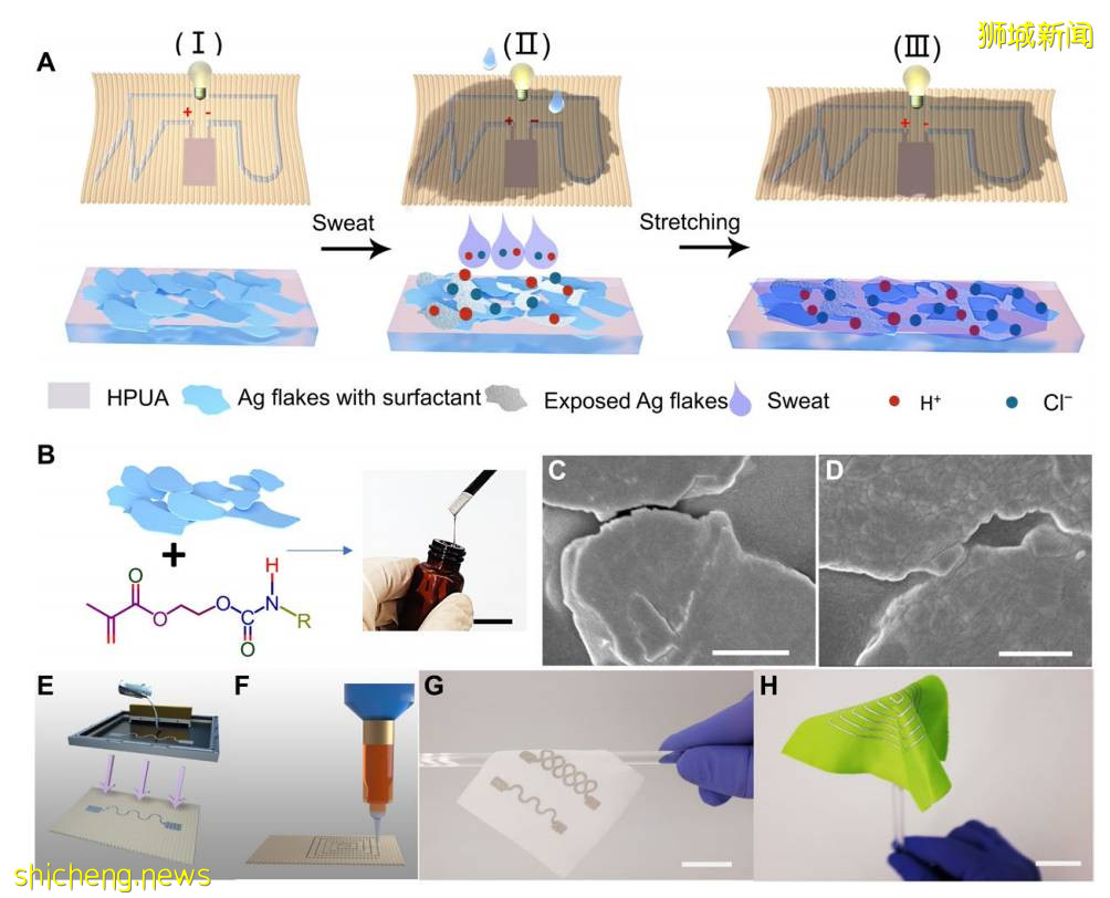 利用汗液为电池充电？NTU 科学家最新研究成果